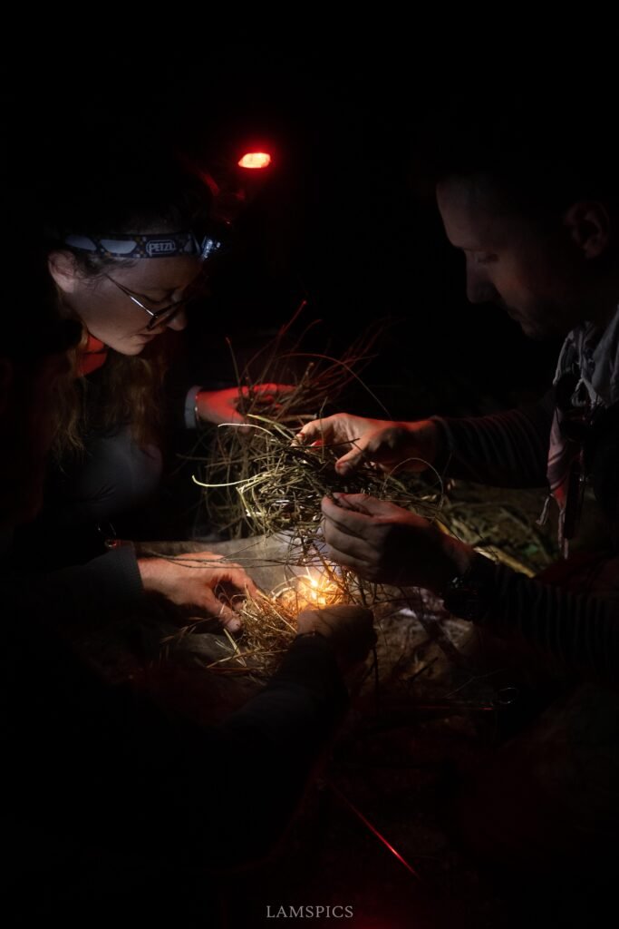 Trois tas de bois nécessaires pour allumer un feu en survie : allumage, intermédiaire et foyer