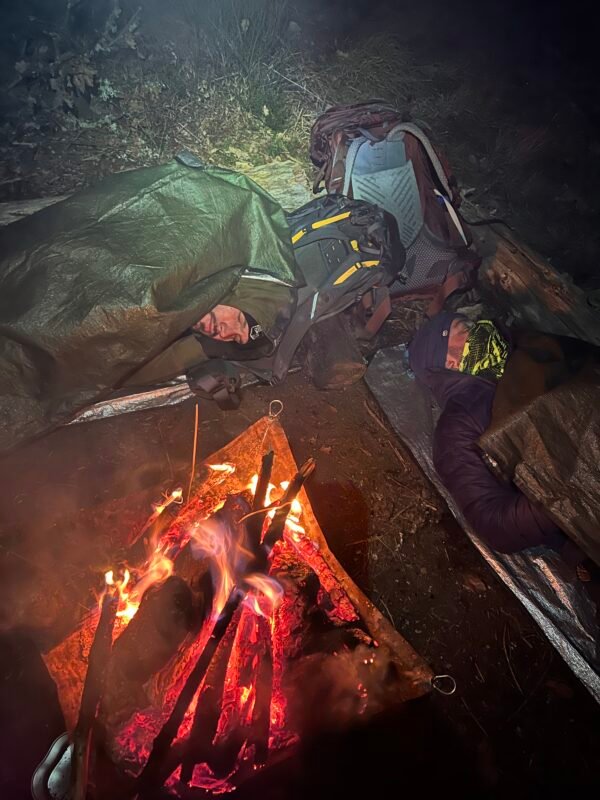 Importance de la régulation thermique et de l’abri en situation de survie